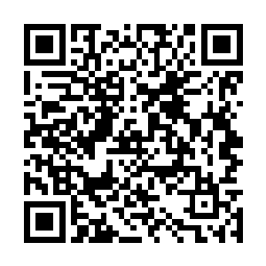 很显然自己的爷爷和奶奶已经认识到了诸多的问题二维码生成