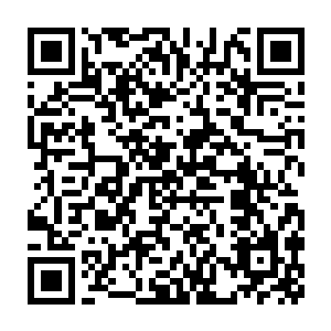 很有可能是因为他刚刚取出来的那块小木块是他本体菩提的一部分二维码生成