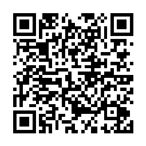 很难在席卷了两个种族的大战之中发挥至关重要的作用二维码生成