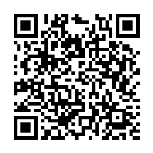 徐成从怨丧所给的神通之中还知道了不少妖族的规矩隐秘二维码生成