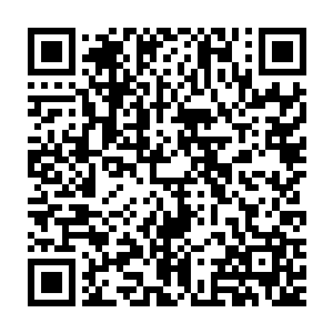 徐清柏拉着死拽着自己衣服不放的白清宁退到一边尽量和叶璃保持距离二维码生成