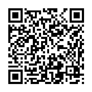 得需要演习裁判判定中弹的人到底是死亡还是受伤二维码生成