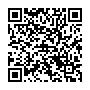 御膳房里的小东子采买食材路过小朱大人您的朱记二维码生成