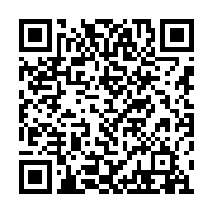 微臣就发现了异常……微臣在王爷的书房中议事二维码生成