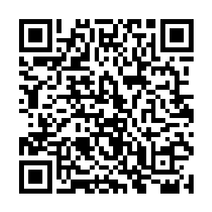 微臣就是拼了这条命那也得做出点成绩来让皇上瞧瞧二维码生成