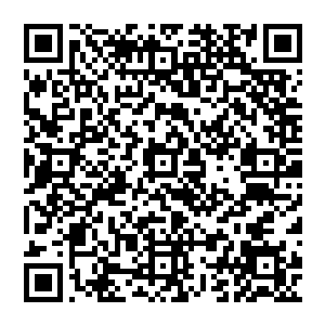 德国联邦经济技术部一名官员和德国驻沪上总领事馆一名官员暨翻译中午乘火车抵达了丰州南潭二维码生成