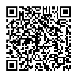 心下却也明白这是向来喜欢故弄玄虚的鸾凰族在外人觐见族长时设的一个下马威二维码生成