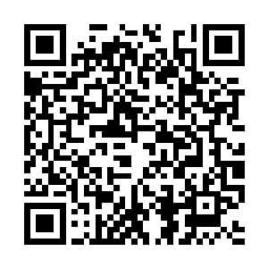 心中对自己投资的一万美元的稍稍担心彻底落了地二维码生成