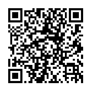 心中明白家人急报的消息应该和他们两个此时得到的消息一样二维码生成