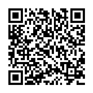 心云不可思议地看着南宫已经完全变得透明的身体二维码生成