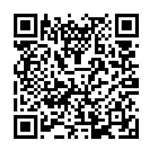 心里便琢磨着自己是不是再回到陨石带去领悟虚无二维码生成