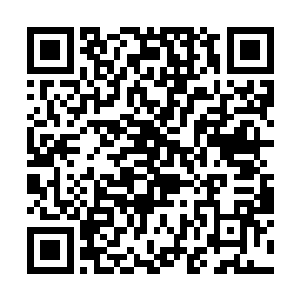 心里对梓箐的信服和敬仰之情犹如滔滔江水绵绵不绝二维码生成