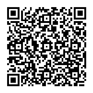 心里就开始后悔了……实际上她当初跟刘文采也就是为了能在刘文采身上骗点儿钱的二维码生成