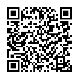 心里那原本无法磨灭的害怕终于被这样的感觉尽数的冲散二维码生成