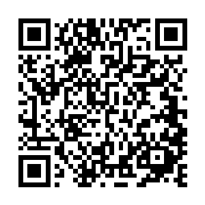 必须保证主审官时时刻刻看得清下面原告和被告的神色变化二维码生成