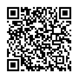 必须要在他们发起攻击的时候开始追踪锁定他们二维码生成