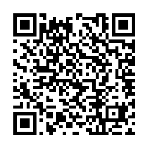 忘记了她个人的灵石实在是不亚于任何一个宗门了二维码生成