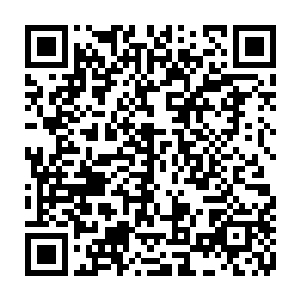 忽然不约而同的想起了他们还在蓝光大海海面上的时候看到的那些诡异情况二维码生成