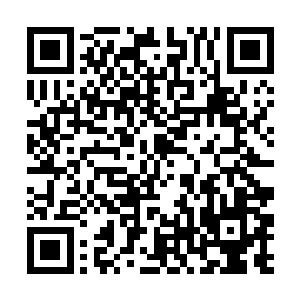 忽然从安装在各个角落的价值连城的音响里爆发出来二维码生成