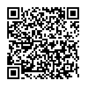 忽然发现自己辛苦建立起来的宗门竟被一群完全不相关的人给占据了二维码生成