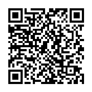 忽然在路边的一棵树上发现了妖孽的赤霄宝剑砍下来的痕迹二维码生成