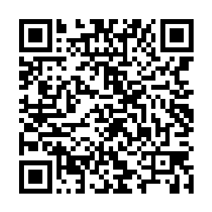 忽然就注意到白灵身上所披的蓝色衬衫是一件男式衬衫二维码生成