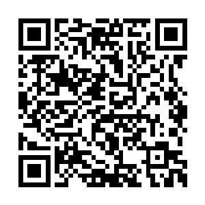 忽然杨戬心中再一次升起了一股无比心悸的感觉二维码生成