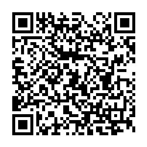 忽然看见一身白衣的王书泽与穿复古旗袍的洛水兮一起走出校门口二维码生成