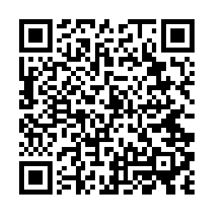 忽然间一根锋寒巨大的爪子出现在了叶然的视线当中二维码生成