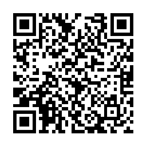 怎么也不敢相信这强大的力量是属于异界修士们的二维码生成