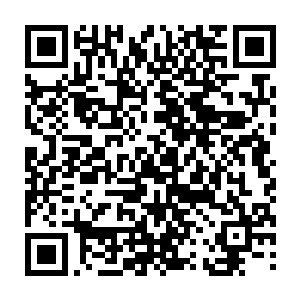 怎么会如此的熟悉管家的手段……竟然连价格上的纰漏也能只看几眼就分辨出来二维码生成