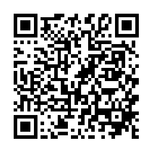 怎么会有人出五十万美金在论坛发布c级任务要他的命呢二维码生成