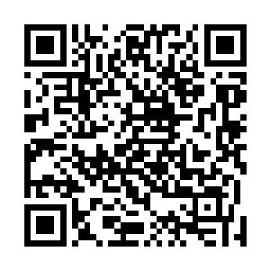 怎么会有可以让人族修士为所欲为完全站立上风的地方呢二维码生成