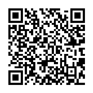 怎么会被种下追踪印记……我们之前也跟太子殿下汇合过二维码生成