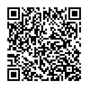 怎么会这样……那个……那个核桃碰到道路边沿就要退回起点重跑二维码生成