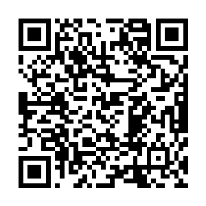 怎么又会忽然出现这么一支被妖族降临所带领的妖族兵团呢二维码生成