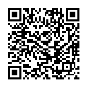 怎么可能会心甘情愿臣服于一个修为不如他们的毛头小子二维码生成