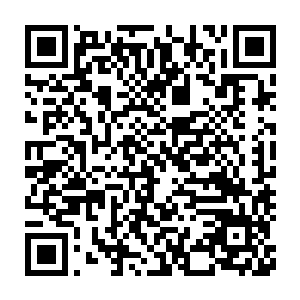 怎么可能瞧得上她这么一个连毛都还没长全也没什么过人之处的小丫头二维码生成