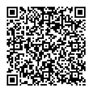 怎么挣扎都无法逃离的石榴十分果决的用另外一只空着的手切断了自己被白兰反手抓住的那只手臂二维码生成