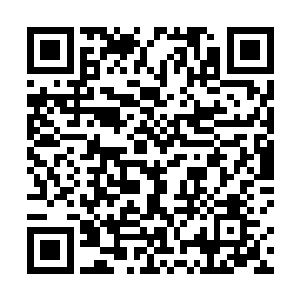 怎可能任由一个雷神殿放在翡雨城里的阁主想杀就杀的二维码生成