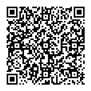 怕也还是跟原来一样吧……不过这块石头既然能够得到弈剑大师傅采林这样的顶尖高手的重视二维码生成