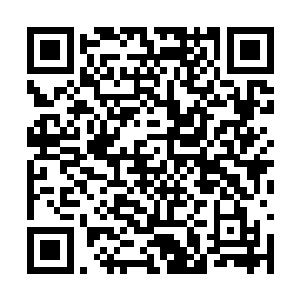 怕是心底渴望着在九域会找到你们神兽生长的家园二维码生成