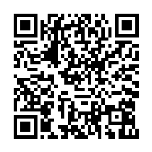 怕是我们这些人的命运都已经跟南林牵扯一起了二维码生成