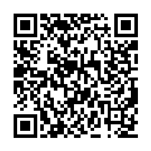 怕是那些安插在他们院子里的眼线会看出来什么二维码生成