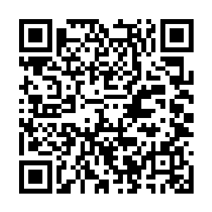 怨毒……她身上几乎将所有梓箐痛恨的因素包全了二维码生成