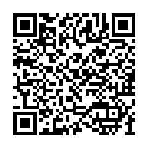 怪不得你一介地仙还给一悟道的修士打成鬼仙了二维码生成