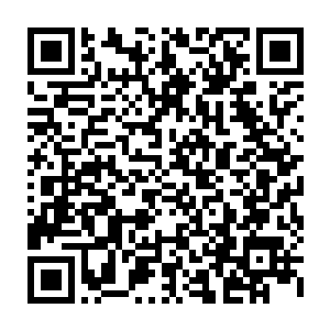 总之已经被林烽洗劫过的家族族长以及随行强者们对林烽已经恨之入骨了二维码生成