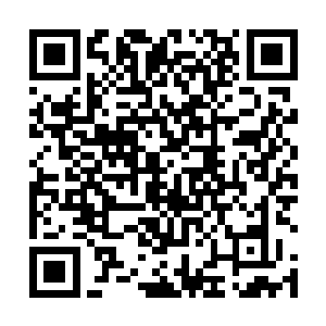 总之这两个月内杰西卡的行程全部给我往最轻松的安排二维码生成