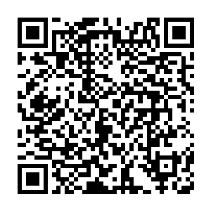 总是会被一堆堆眼花缭乱的版图变化数据刺激的如同打了鸡血一般二维码生成