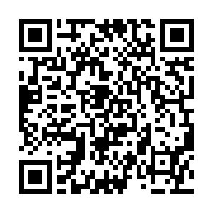 总有一些混日子的教授和副教授游离在科研圈子以外二维码生成
